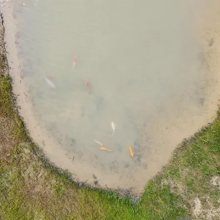 Malinda - 500m From The Sea By Interhome Odder